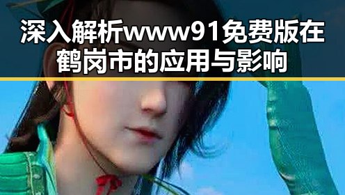 深入解析www91免费版在鹤岗市的应用与影响