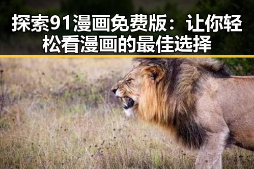 探索91漫画免费版:让你轻松看漫画的最佳选择