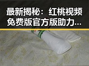 最新揭秘：红桃视频免费版官方版助力肇庆市三线明星崛起