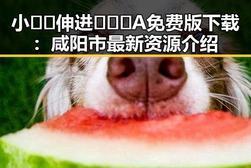 小🐔🐔伸进🈲🔞🔞A免费版下载：咸阳市最新资源介绍