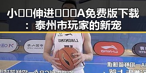 小🐔🐔伸进🈲🔞🔞A免费版下载：泰州市玩家的新宠